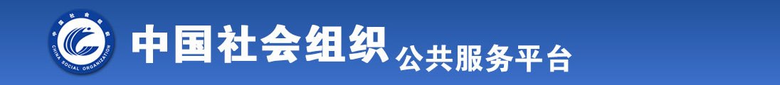 欧美草逼全国社会组织信息查询